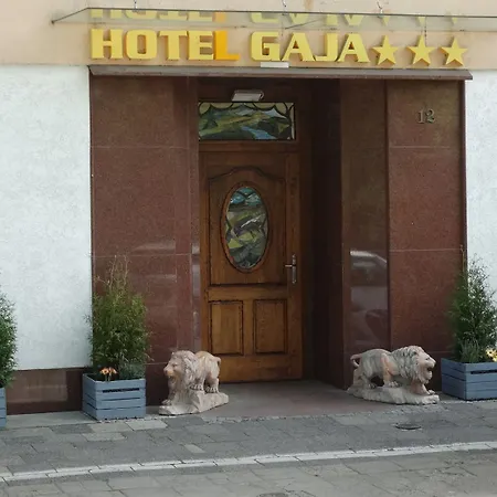 Gaja